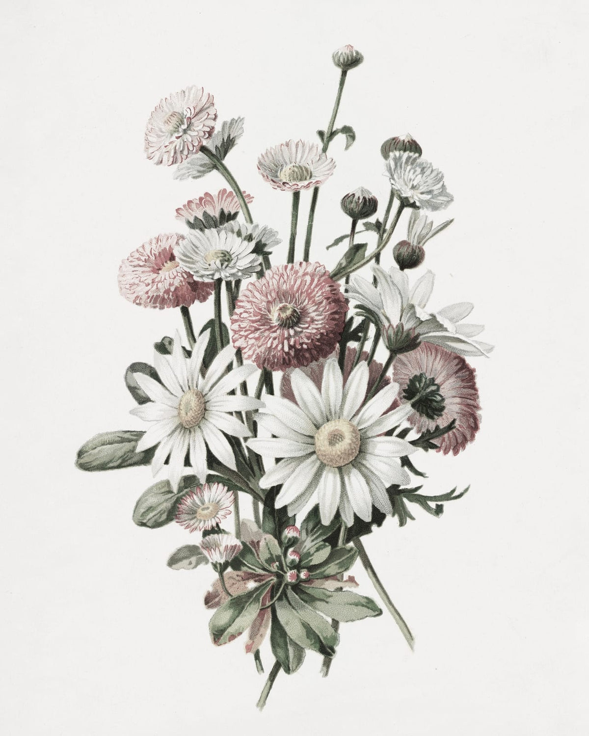 A bouquet of white and pink flowers.