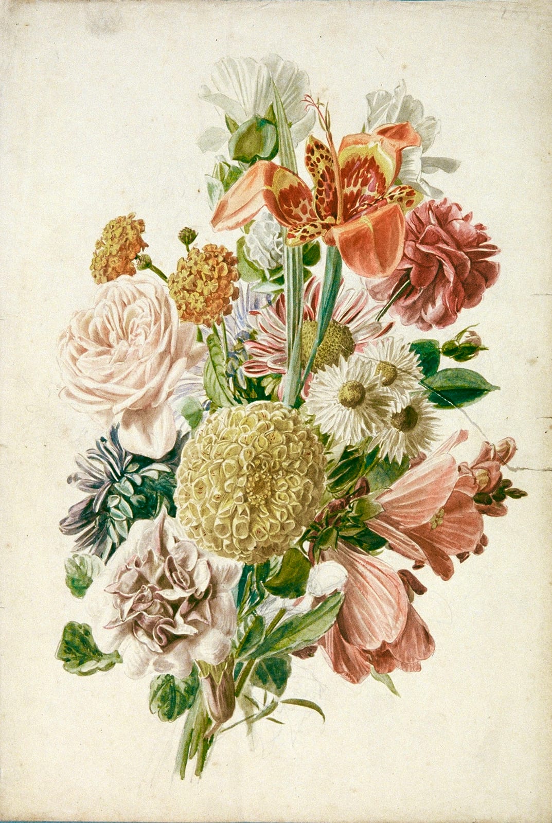 a botanical floral arrangement
