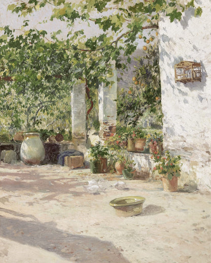 A white courtyard with greenery and terracotta pots.