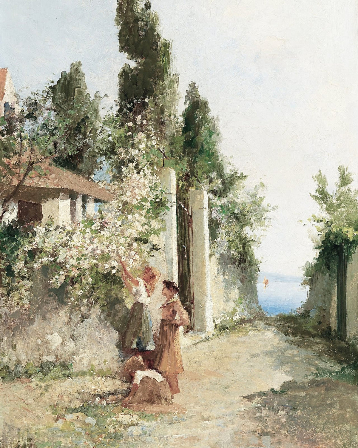 A bright avenue with a cypress and flowers.