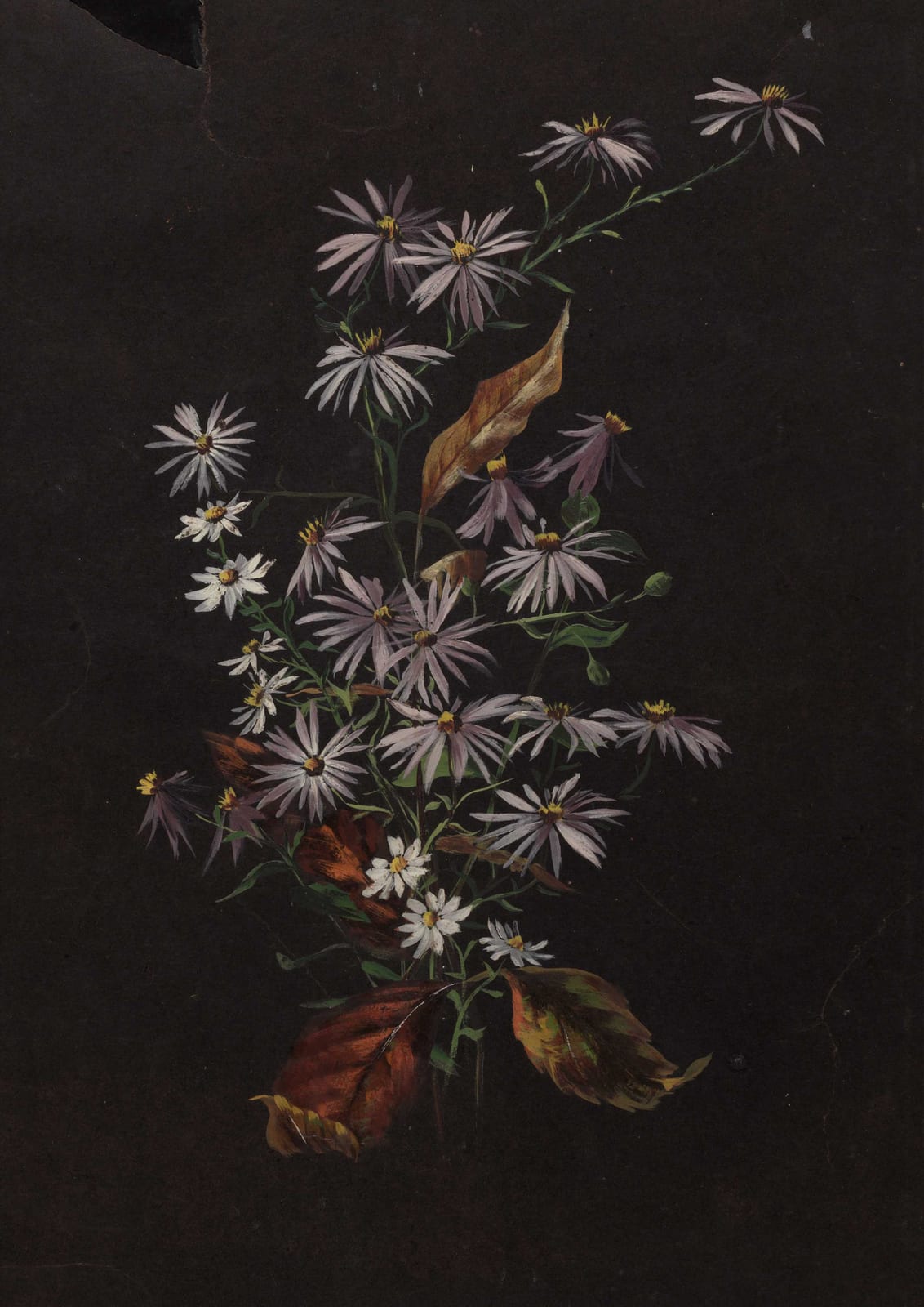 Small flowers and leaves on a dark background.