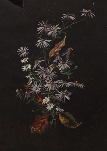 Small flowers and leaves on a dark background.