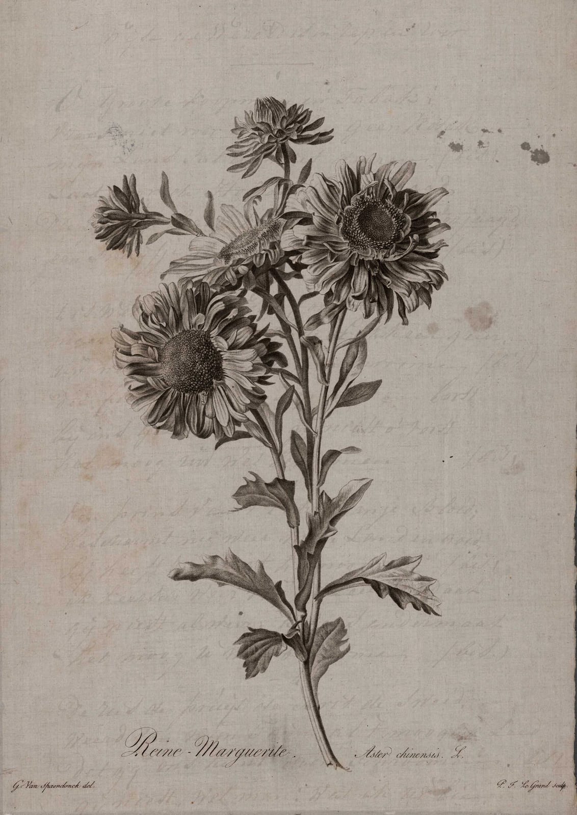 A large flowering branch fills the composition.