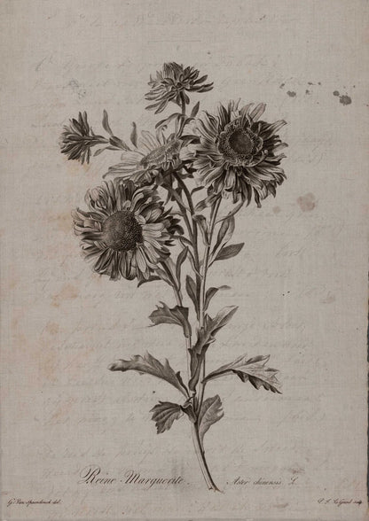 A large flowering branch fills the composition.