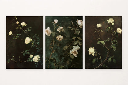 Three rose prints shift between dark and light grounds, with pale blooms and deep green leaves.