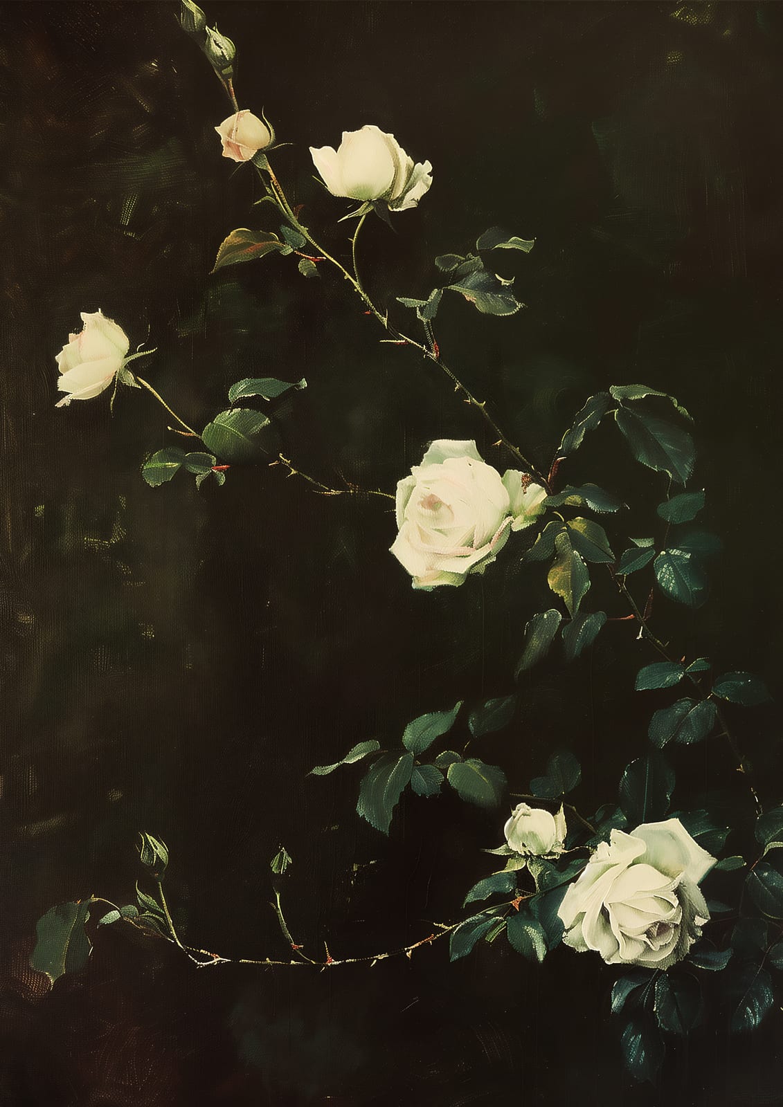 White roses against a dark background.