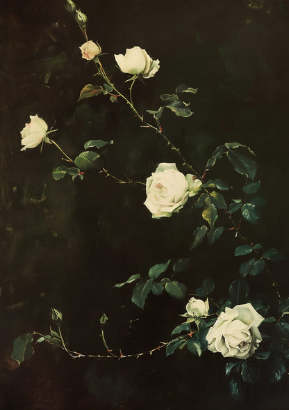 White roses against a dark background.