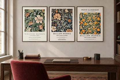 Three botanical prints displayed above a wooden desk.