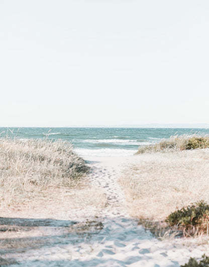 Three beach lifestyle panels with palms, surf, and an orange van by the shore, panel 2 of 3