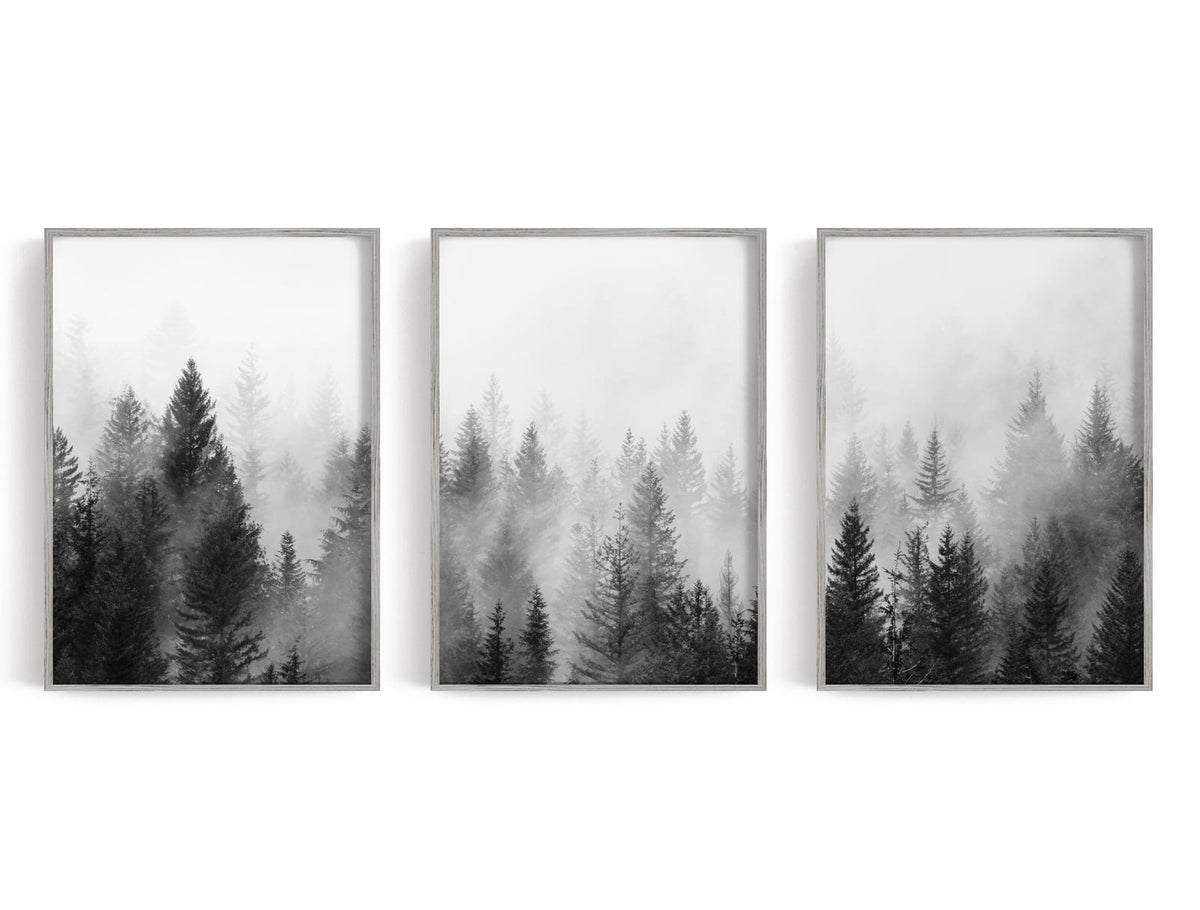 Three misty evergreen forest panels in pine green, sage, gray, and white