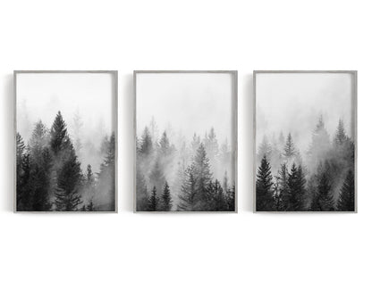 Three misty evergreen forest panels in pine green, sage, gray, and white