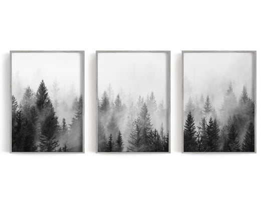Three misty evergreen forest panels in pine green, sage, gray, and white