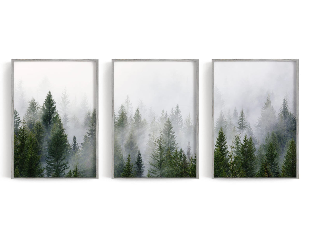 Three misty evergreen forest prints arranged as a coordinated wall art set