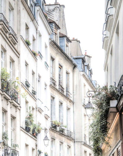 Pale Paris facades with iron balconies and plants along a narrow upward street view