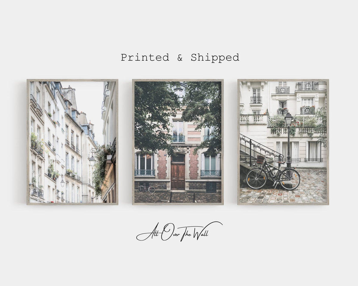 Quiet Paris street photography trio with pale facades, leafy windows, and a bicycle