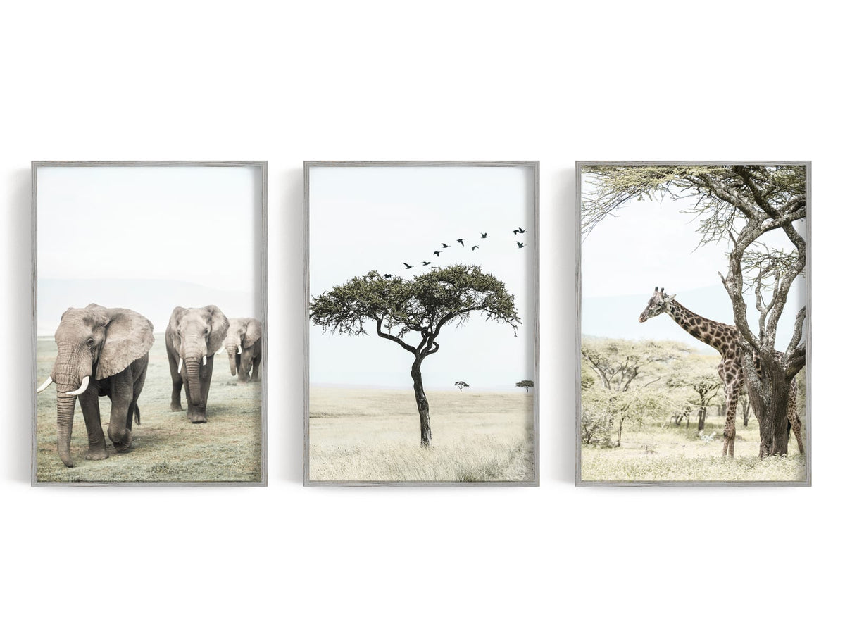 Three pale grassland prints with elephants, a lone tree, and a giraffe