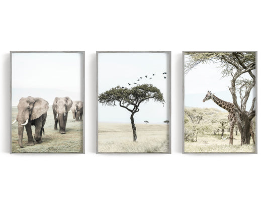 Three pale grassland prints with elephants, a lone tree, and a giraffe