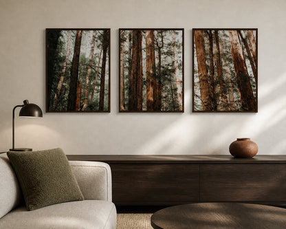 Redwood Canopy Trio in an earthy living room with olive, smoked oak, and terracotta accents
