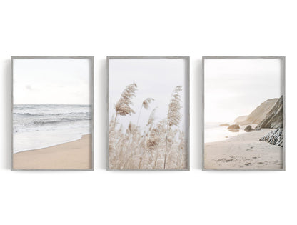 Three coastal prints with open water, rocky cliff, and beige plume-like reeds