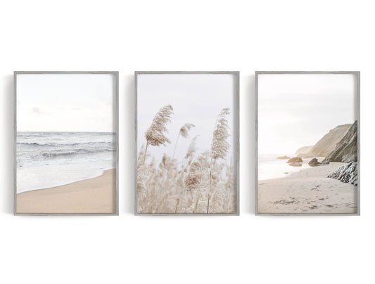 Three coastal prints with open water, rocky cliff, and beige plume-like reeds