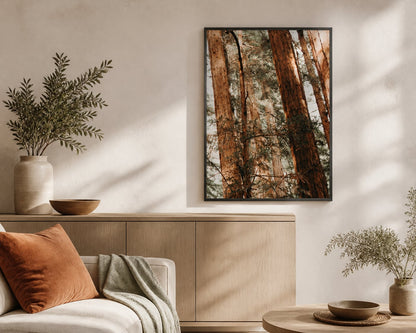 Sunlit Redwoods Print in a warm white living room with rust and pale sage accents
