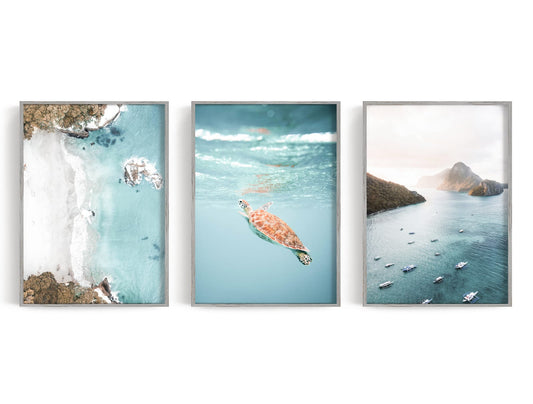 Turquoise Island Waters Trio showing three aerial coastal photographs show a pale beach, a sea turtle in clear water, and.