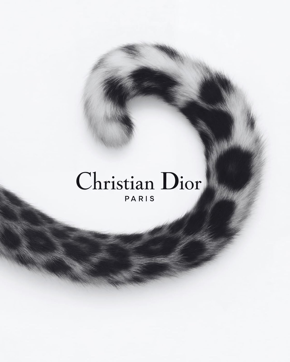 A spotted tail and bold lettering in a black-and-white print.