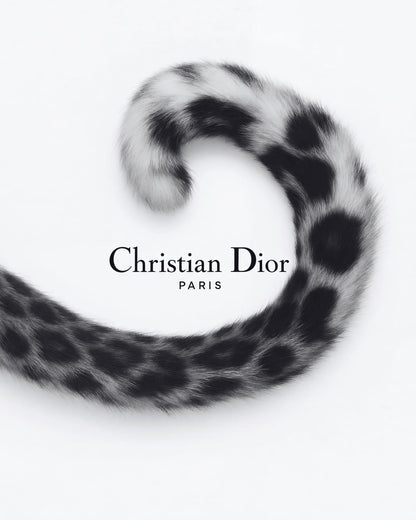 A spotted tail and bold lettering in a black-and-white print.