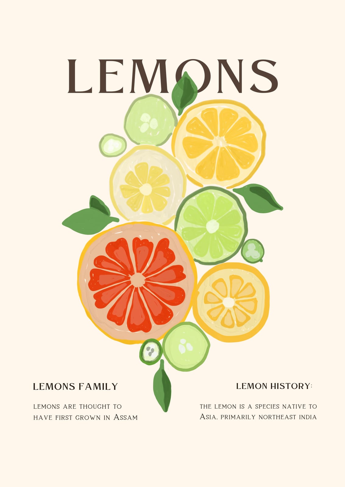 Sliced lemons share a panel with English text.