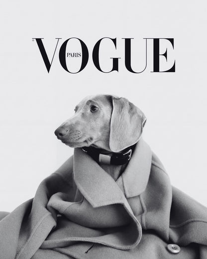 A dog in a coat beneath VOGUE PARIS lettering.