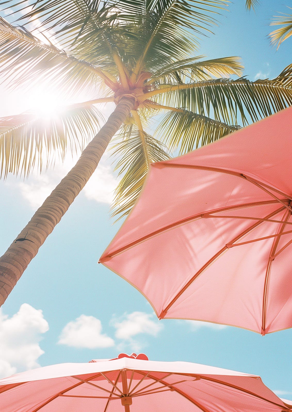 a palm, blue sky, sun flare, and two pink umbrellas.