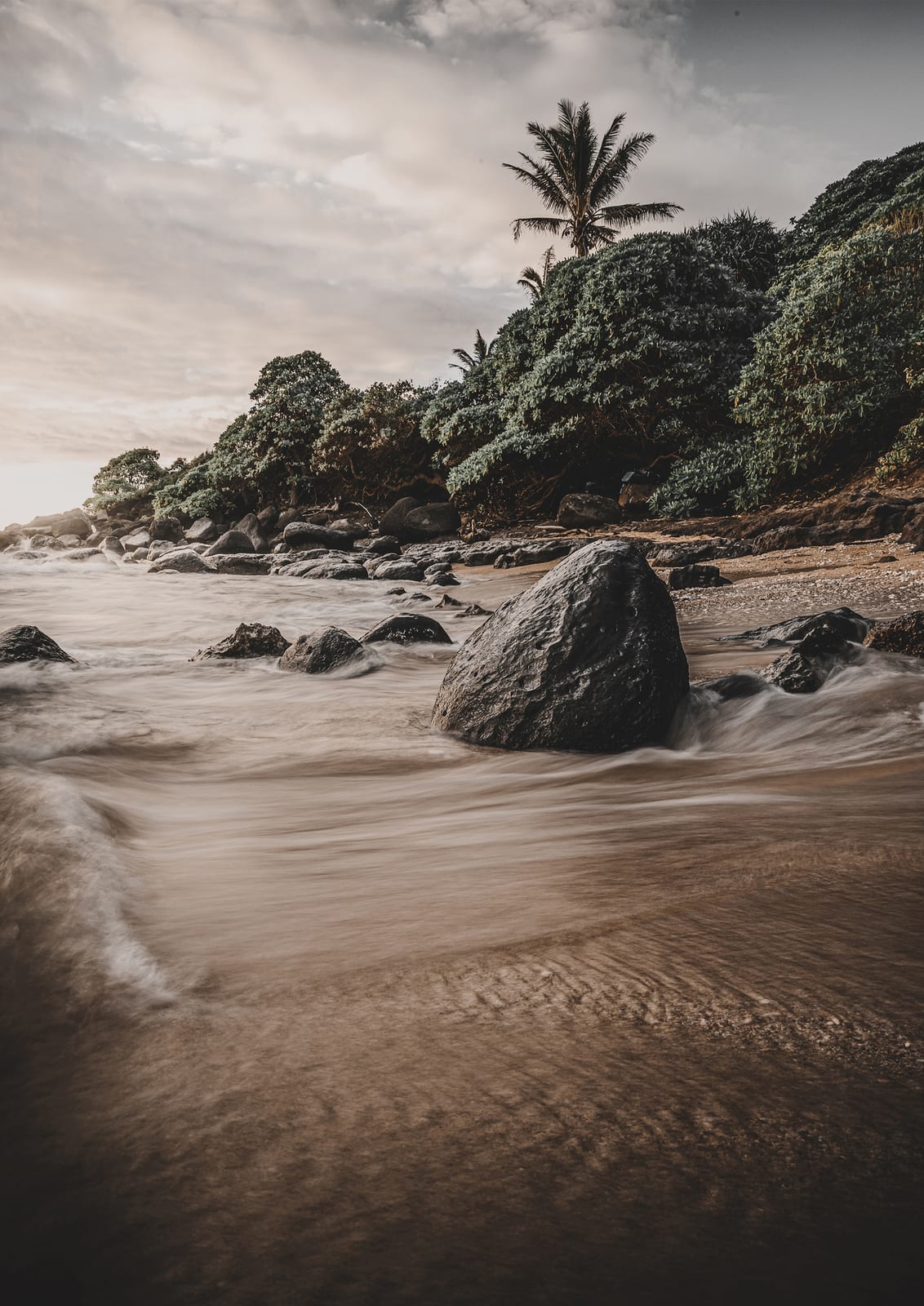 gray-brown shore with palms and surf under clouds.