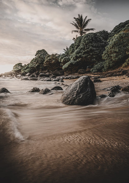 gray-brown shore with palms and surf under clouds.