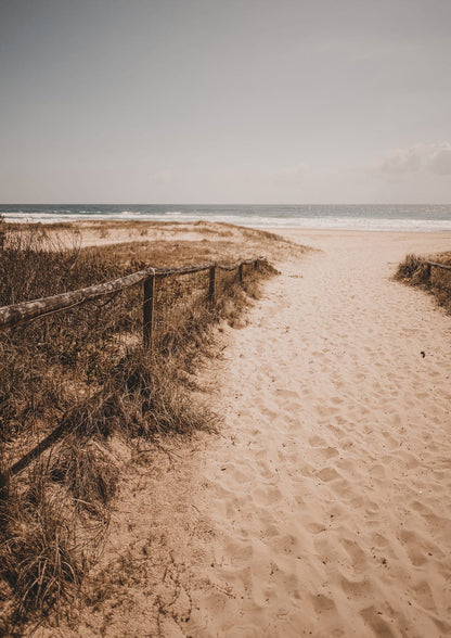 sandy path through dry grass with a low dark fence.