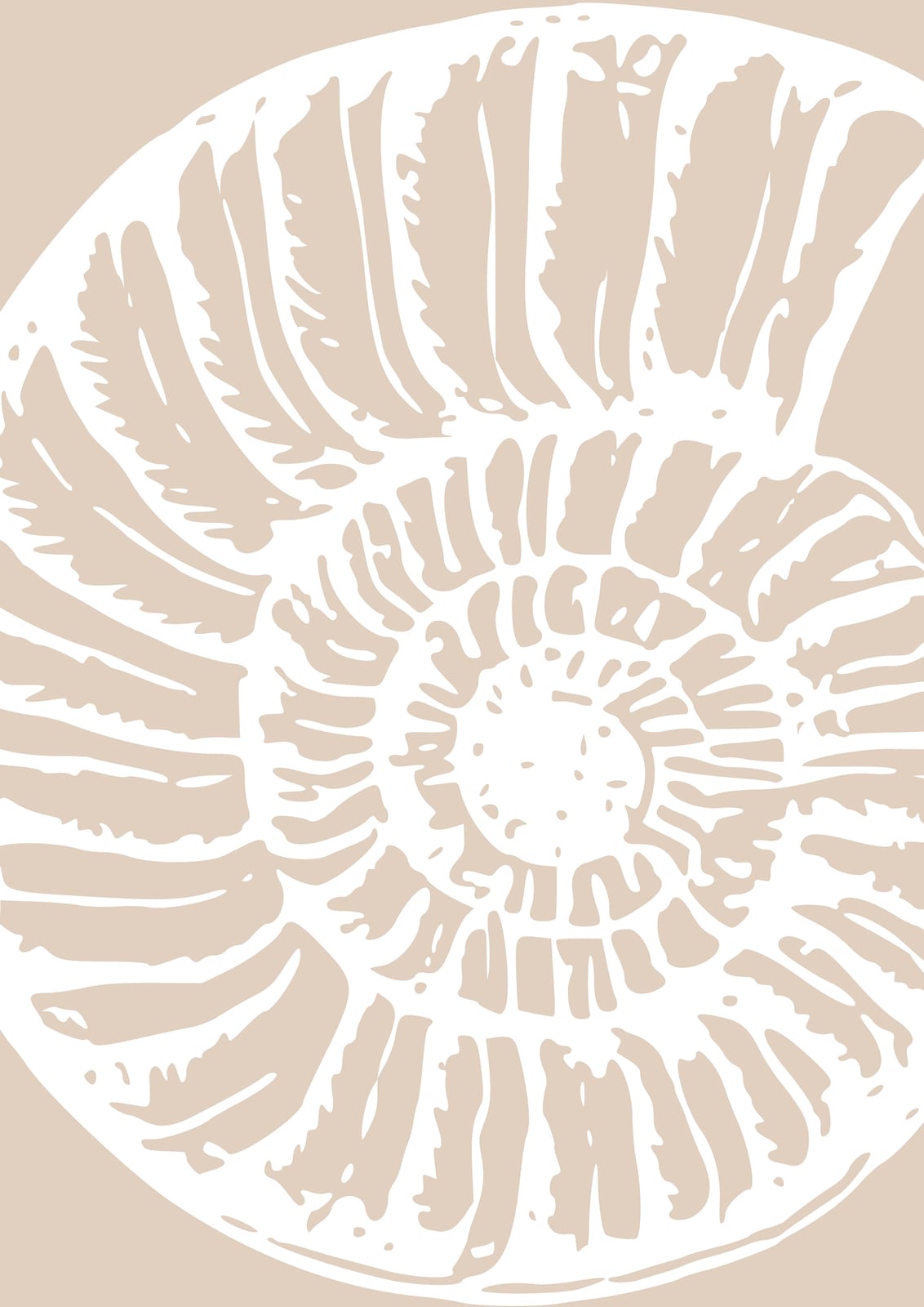 white spiral-shell outline on beige.