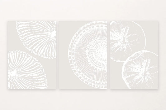 Three light-gray shell prints with fan forms, a spiral close-up, and rounded shapes.