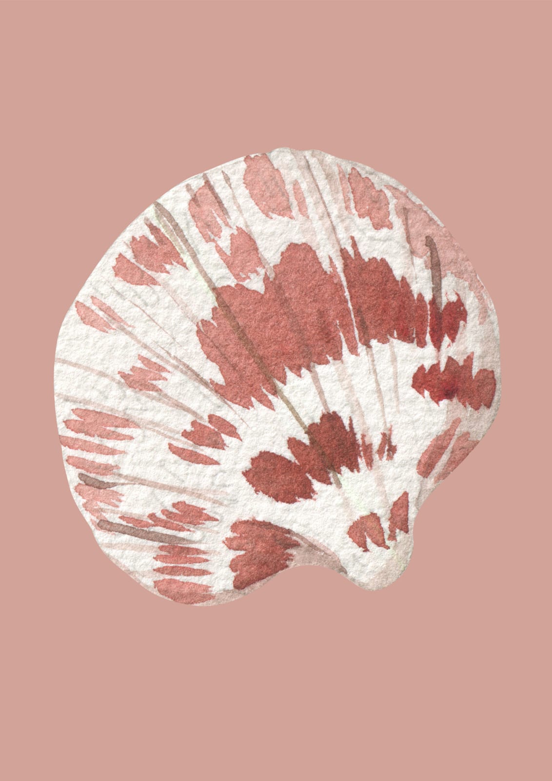 fan shell in a watercolor style.