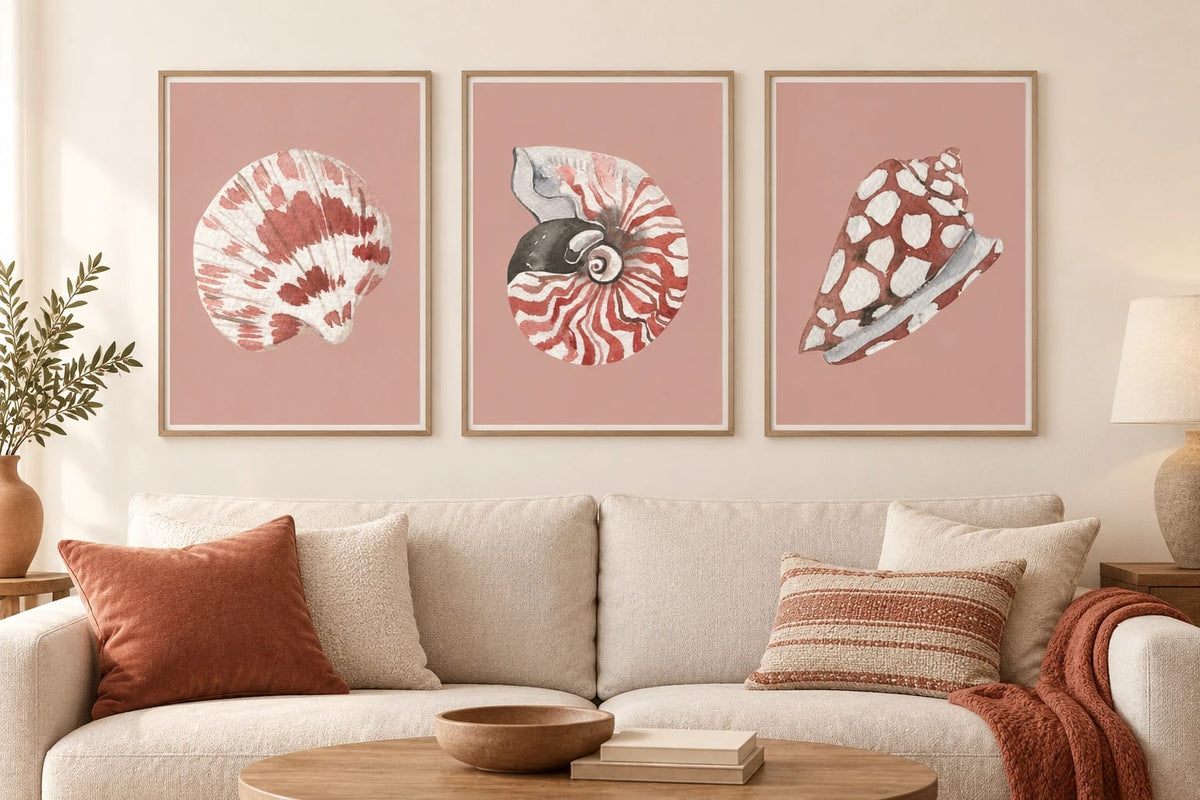 Three shell prints above a light sofa with terracotta cushions.