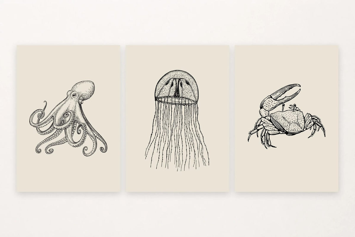Three sea creature prints with an octopus, jellyfish, and crab.