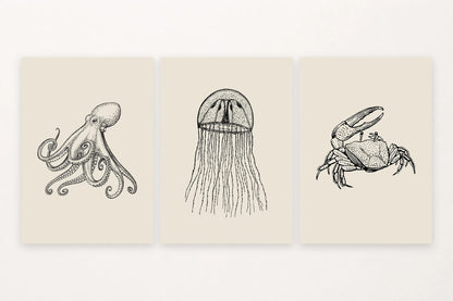 Three sea creature prints with an octopus, jellyfish, and crab.