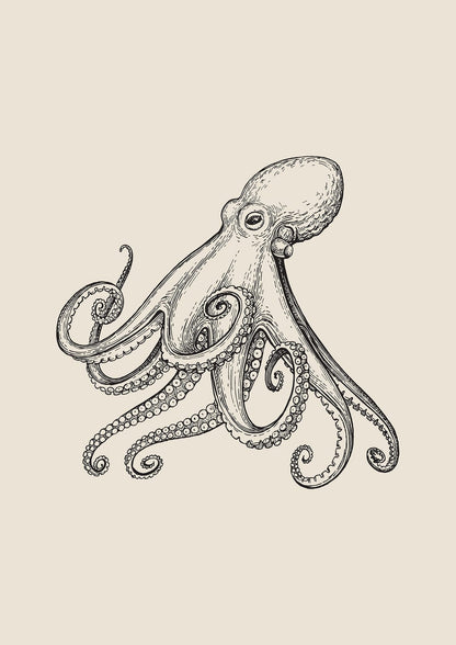 octopus with arms radiating outward.