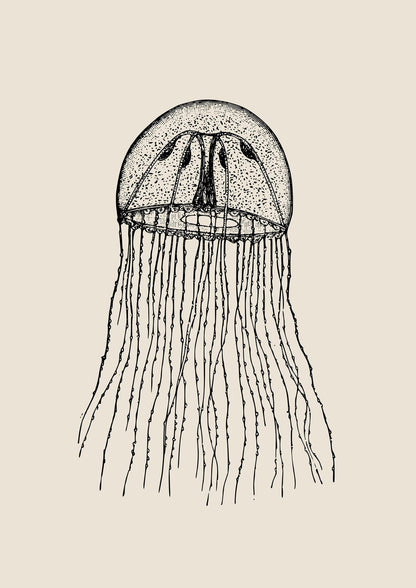 jellyfish with long fine tentacles.