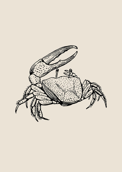 crab with open claws.