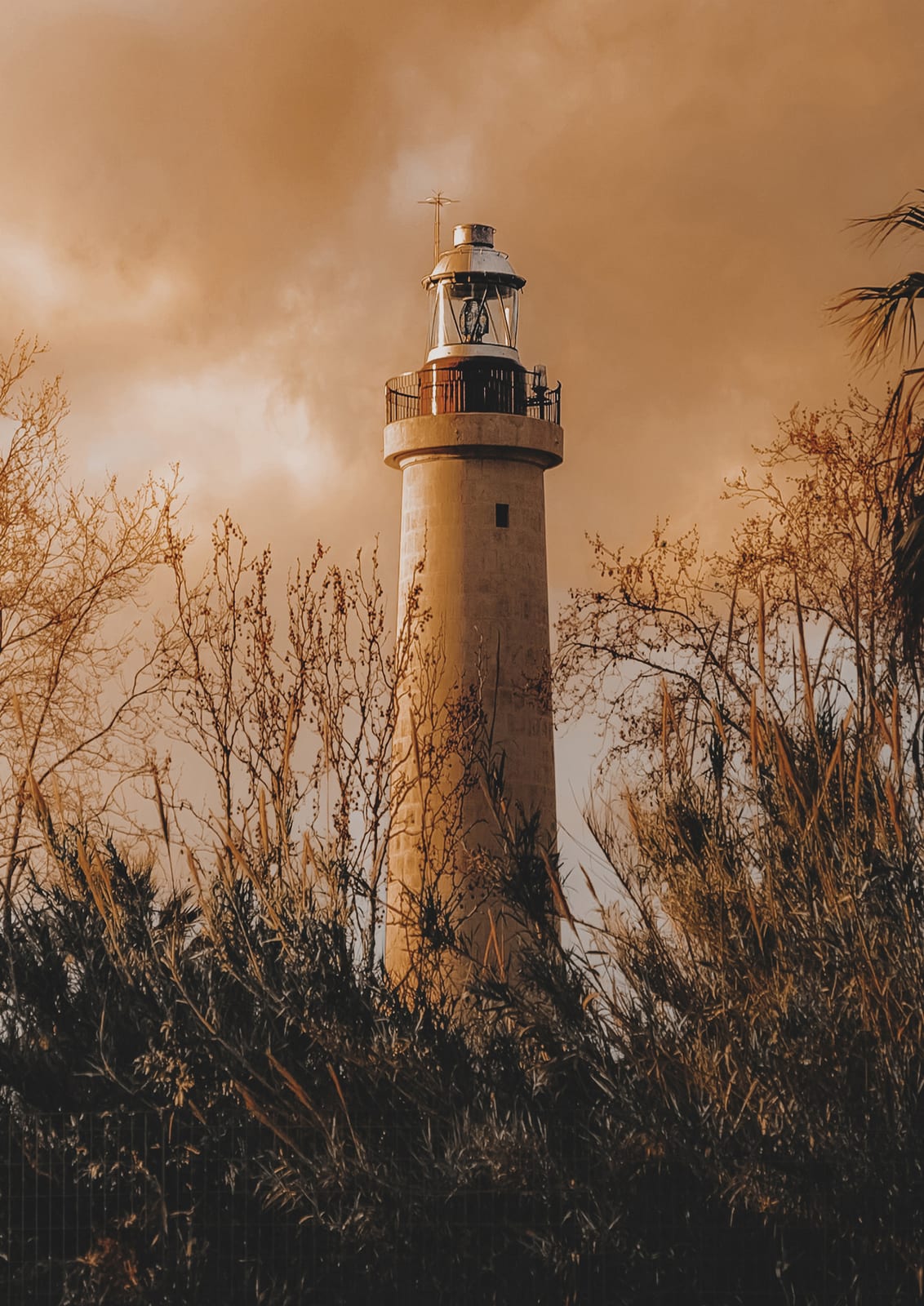 lighthouse behind branches under an amber cloudy sky.