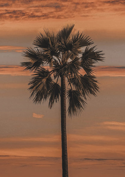 palm silhouette on a warm orange sky.