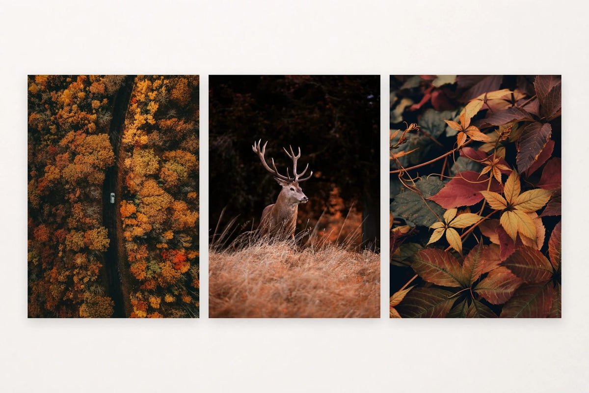 Autumn forest prints with a road and car, deer, and close-up leaves.
