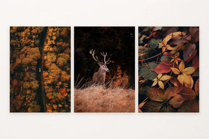 Autumn forest prints with a road and car, deer, and close-up leaves.