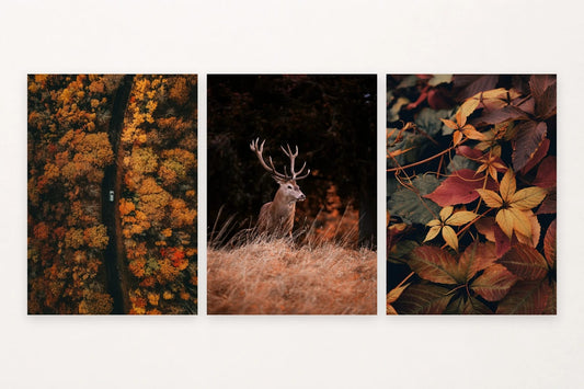 Autumn forest prints with a road and car, deer, and close-up leaves.