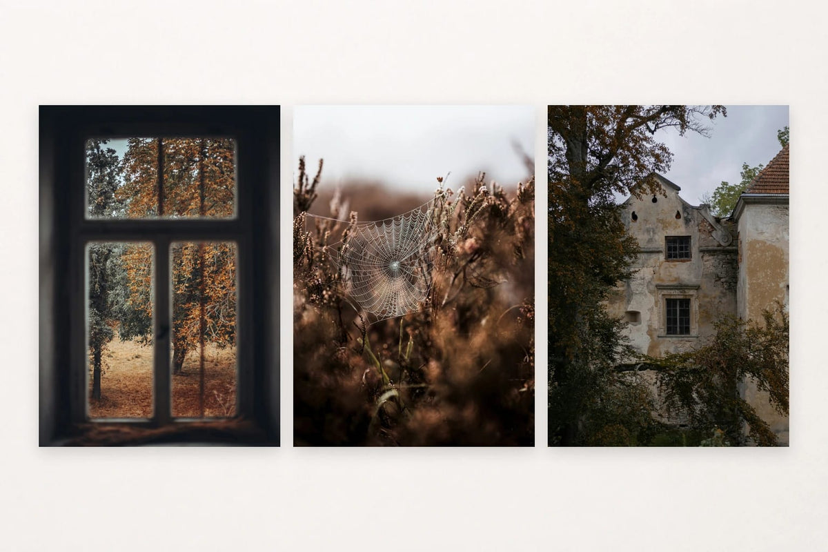 Autumn prints with an old window, a spider web, and a weathered facade.