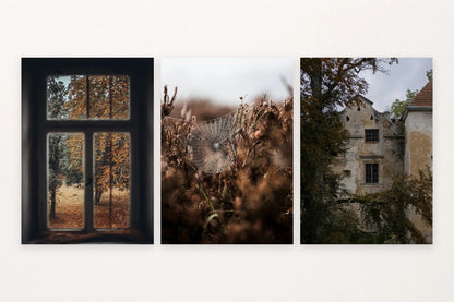 Autumn prints with an old window, a spider web, and a weathered facade.